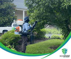 BPC Pest Control